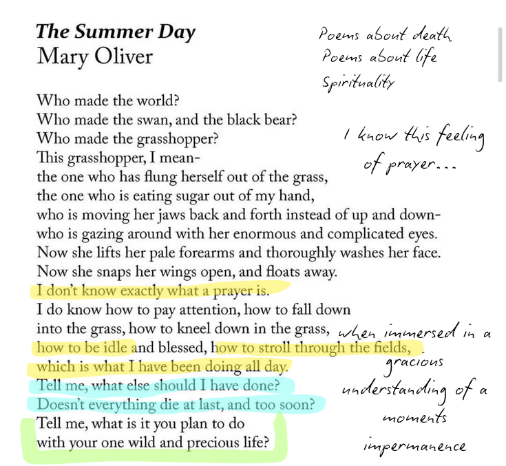 The Summer Day